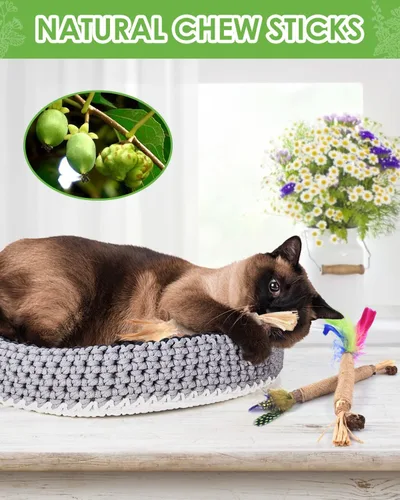 Vista 8 de TINDTOP Silvervine - Paquete de 15 palitos masticables naturales con hierba gatera para limpieza de dientes de gatitos, cuidado dental Matatabi