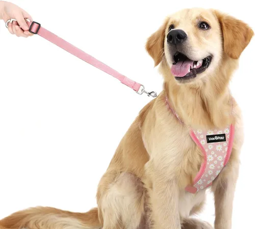 Vista 10 de VavoPaw Cinturón de Seguridad para Perros, Chaleco de Seguridad Arnés para Perros para Automóvil con Hebilla Ajustable Cinturón de Seguridad