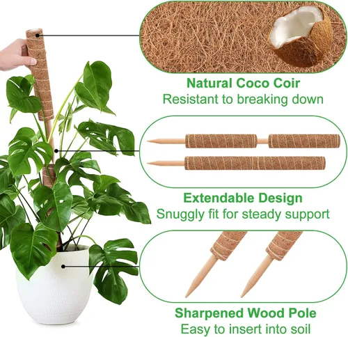 Vista 2 de GROWNEER Poste de musgo de 24 pulgadas para plantas de interior, 2 piezas de soporte de tótem de coco apilable de 15 pulgadas, palos de musgo con 15