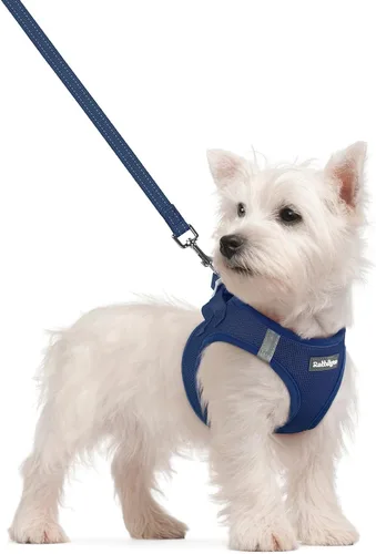 Vista 106 de rabbitgoo Arnés para perro de tamaño pequeño y juego de correa, chaleco Cachorros de manzana