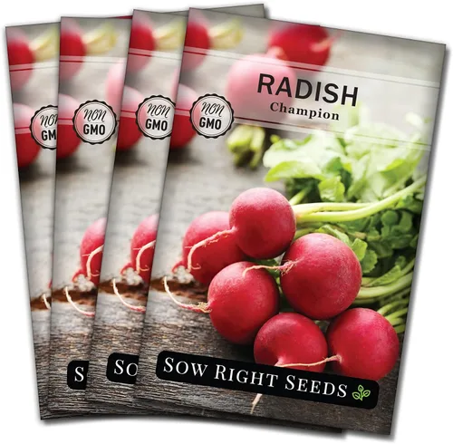 Vista 9 de Sow Right Seeds - Semilla de rábano Champion para plantar - Paquete de reliquia sin OMG con instrucciones para plantar un huerto casero - Cultiva
