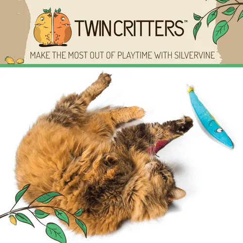 Vista 7 de Silvervine - Paquete de 2 juguetes orgánicos sustitutivos de hierba gatera para gatos y gatitos 100% natural cosechado en la naturaleza 2