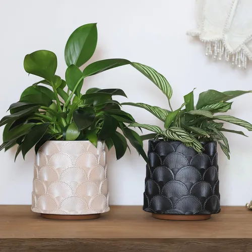 Vista 4 de GUGUGO Maceta de Escamas Beige Perla, Maceta de Plantas Única y Bonita con Drenaje, Macetas Pequeñas Eclécticas y Coloridas para Flores para Plantas