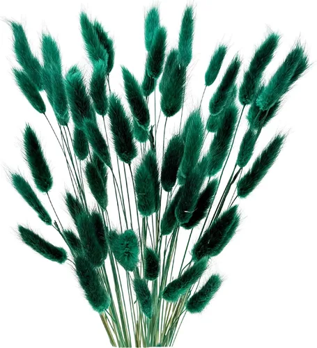 Vista 14 de 60 piezas Flores de Cola de Conejo Secas Hierba Negra de las Pampas Arreglo Floral Natural Seco Flores Secas para Halloween Navidad Decoración Boho