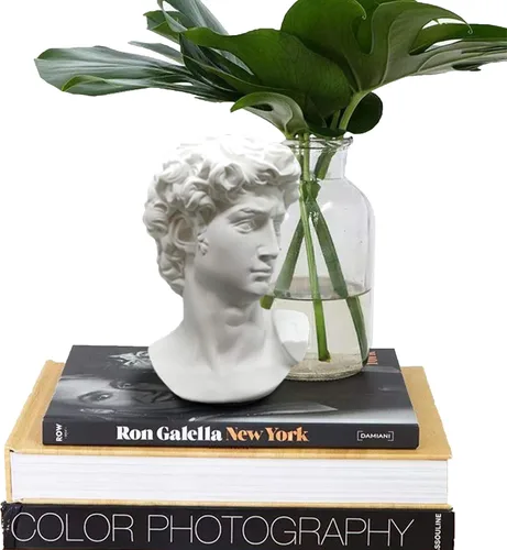 Vista 4 de Estatua griega de David - Busto de cabeza para mitología y decoración romana del hogar