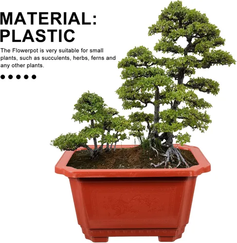 Vista 3 de ERINGOGO 10 macetas de entrenamiento para bonsái, 10 plantas bonsái, maceta rectangular de plástico con agujeros de drenaje, flor profunda grande
