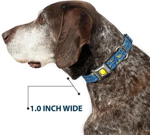 Vista 6 de Buckle-Down Collar de perro con hebilla de cinturón de seguridad, con texto de la historia de la Bella y la Bestia, 1 pulgada de ancho, se adapta a