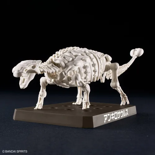 Vista 9 de Bandai Hobby - Plannosaurus - Kit de modelo de dinosaurio anquilosaurio #06