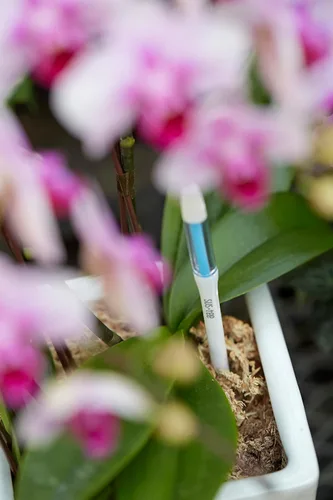 Vista 7 de Sustee Aquameter, juego de 5, sensor de humedad del suelo para plantas (blanco, mediano)