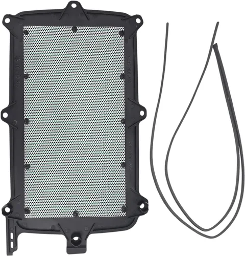 Vista 4 de Honda Talon 1000 Filtro de Aire OEM 17215-HL6-A00