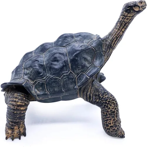 Vista 2 de PPCLION Galapacos - Figura de estatua de tortuga para decoración de regalo