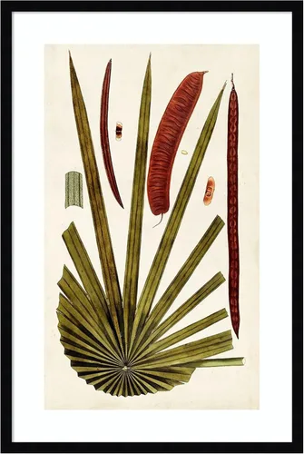 Vista 19 de Amanti Art Vision Studio - Lienzo decorativo para pared, 24 x 17 pulgadas, variedades de hojas VI por Vision Studio, arte de pared de naturaleza
