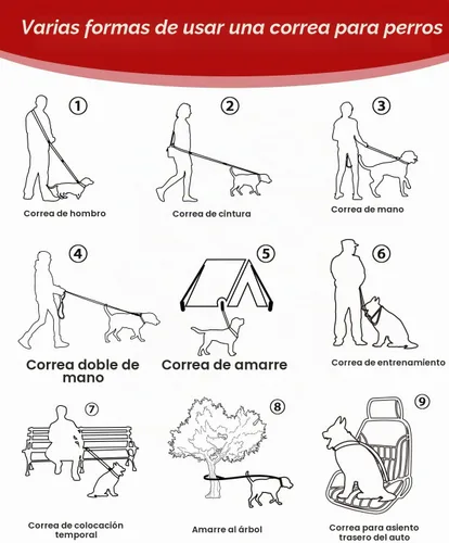 Vista 5 de Juego de correa para perro manos libres y cinturón de seguridad para Asas dobles suaves, absorben los golpes, clip de 360°, diseño reflectante