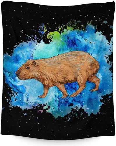 Vista 13 de Mantas temáticas de animales para niños, tamaño regazo de 30 x 40 pulgadas, manta de felpa suave y peluda para regalo, mantas negras para cama, sofá