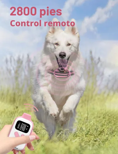 Vista 6 de Collar de Entrenamiento para Perros sin Choque, Collar de Perro con Pitido y Vibración con Control Remoto 853M, Collar de Vibración para Perros