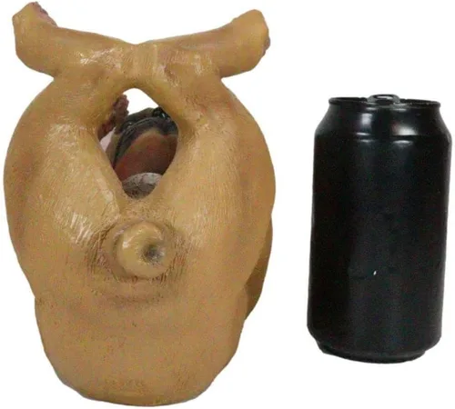 Vista 6 de 1 pieza de pedigrí para botella de aceite de vino para perro, decoración de cocina