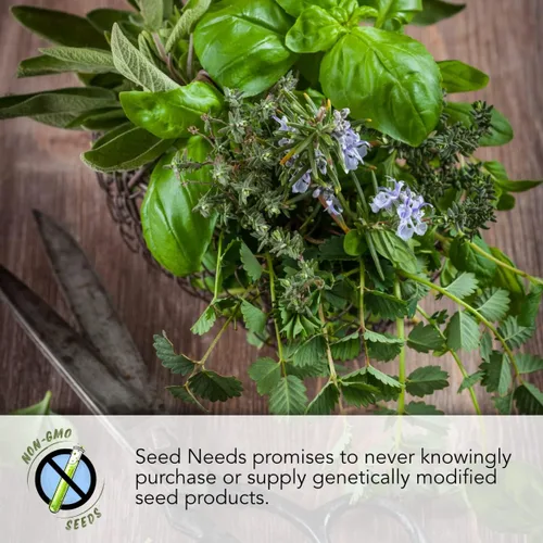 Vista 6 de Seed Needs, Colección de Paquetes de Semillas de Diente de León (3 Variedades de Semillas para Plantar) No-GMO y Sin Tratamiento - Diente de León