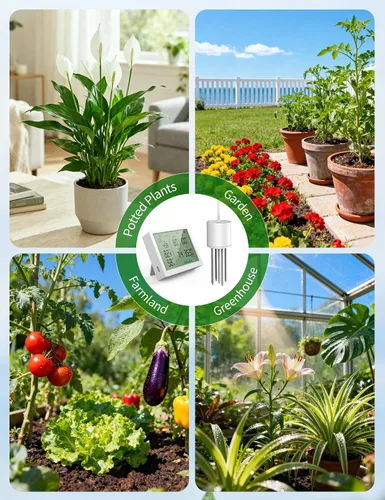 Vista 6 de 7 in 1 Soil Meter, Digital Soil Test Kit of PH/Sunlight/Fertility/Soil & Air Temp, Humidity Meter for Indoor & Outdoor Plant, Growing Environment