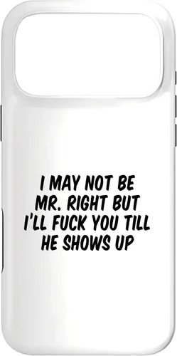 Vista 22 de I May Not Be Mr. Right But I’ll Fuck You Till He Shows Up Case for iPhone 17
