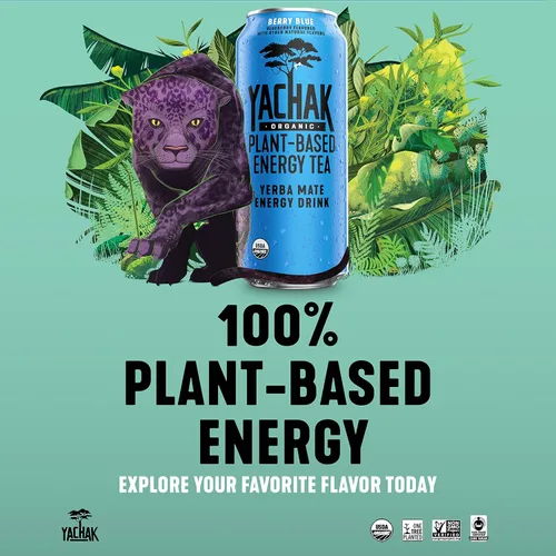 Vista 5 de Yachak Yerba Mate, azul baya, 16 onzas, paquete de 12