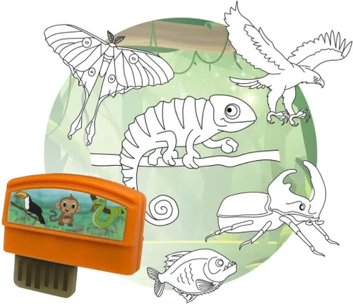 Vista 5 de Flycatcher Smart Sketcher 2.0 Cartucho – Todos los deportes – Más de 50 actividades paso a paso – Paquete de expansión para niños a partir de 5 años