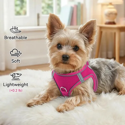 Vista 73 de Joytale Arnés para Perros Pequeños, Chaleco de Malla Transpirable Step-in, Arneses Acolchados Suaves Reflectantes para Gatos y Perros Cachorros