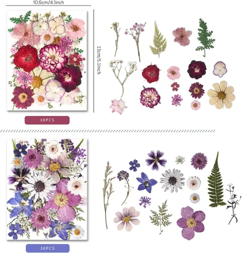 Vista 5 de 184 PCS Real Pressed Dried Flowers and Leaves for Resin Multi