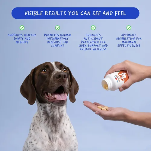 Vista 2 de Cúrcuma para perros - Antiinflamatorio natural y alivio del dolor, 120