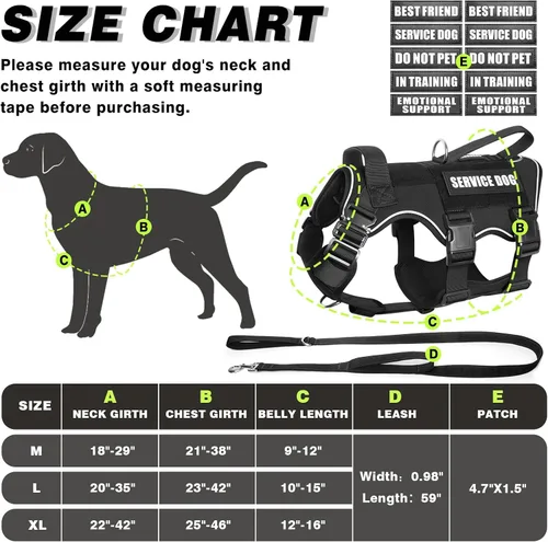 Vista 6 de Juego de chaleco y correa táctico para perro de servicio, arnés resistente con hebillas de metal para perros de tamaño mediano, chaleco ajustable