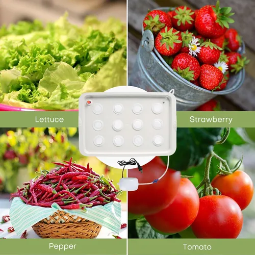 Vista 5 de NATGAI Kit de cultivo de sistema hidropónico con bomba de aire, 12 agujeros, caja de cultivo sin suelo, caja de jardín para hierbas, lechuga