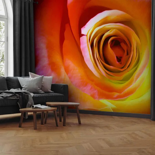 Vista 2 de artgeist Mural de pared Rosa de 157 x 122 pulgadas - Papel tapiz no tejido XXL, decoración de pared de forro polar, impresión fotográfica, diseño