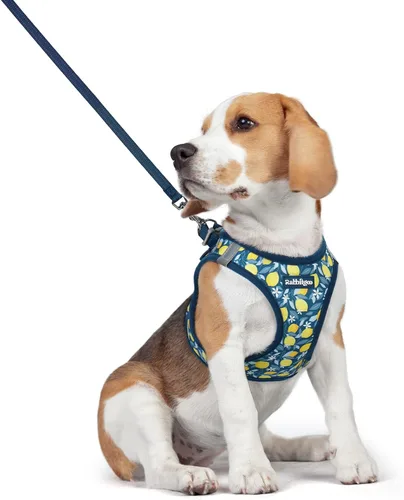 Vista 207 de rabbitgoo Arnés para perro de tamaño pequeño y juego de correa, chaleco Cachorros de manzana
