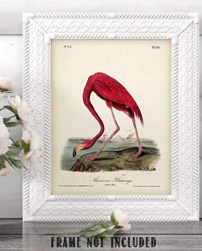 Vista 8 de American Flamingo Illustration - 11x14 Unframed Art Print - Great Wall Decor and Gift