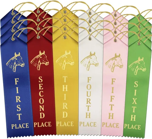 Vista 9 de RibbonsNow Cintas de espectáculo de caballos 1er - 6º lugar - 72 cintas en total - 12 cada lugar con tarjeta y cuerda