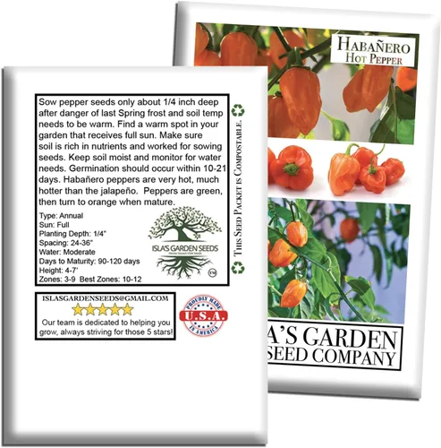 Vista 7 de Semillas de habañero para plantar, más de 25 semillas tradicionales por paquete, pimiento picante y picante, semillas de jardín de Isla