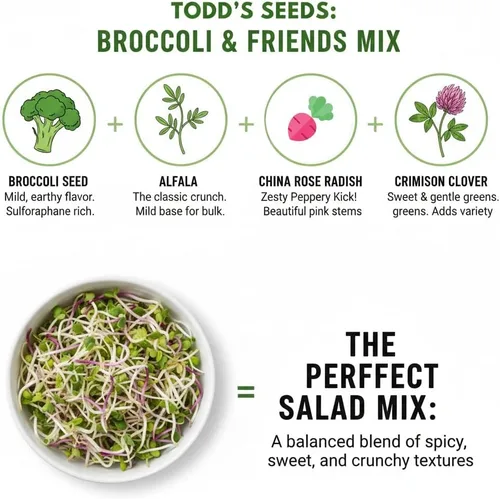 Vista 5 de Broccoli and Friends Mezcla de brotes de semillas, una libra Rellena 12-15 frascos - Sin OMG, probado en laboratorio, sin químicos y cultivado
