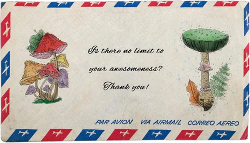 Vista 4 de Sellos transparentes de hongos para hacer tarjetas y decoración de álbumes de fotos, hojas de flores, palabras, sellos de goma transparente, sello