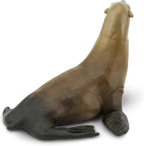 Vista 6 de Safari Ltd. Figura de león marino – Figura detallada de modelo de plástico de 3.1 pulgadas – Divertido juguete educativo para niños, niñas y niños a