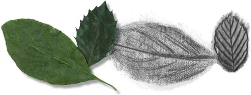 Vista 4 de Faber-Castell – Kit de dibujo y boceto para niños – Artesanías premium para niños