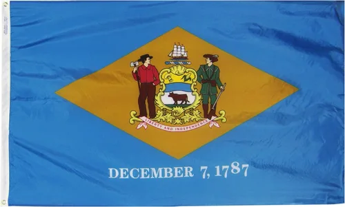 Vista 5 de Bandera de Delaware (2 pies x 3 pies) USA-Made to Official State Design Specifications