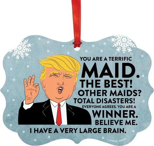 Vista 133 de Andaz Press Presidente Donald Trump Fancy Frame Recuerdo Adorno de Navidad Regalo de broma, excelente contador, 1 paquete, divertidas ideas