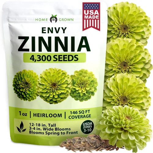 Vista 102 de HOME GROWN Bachelor Button Tall Mix 700+ Semillas de flores Centaurea