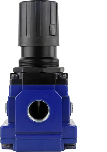 Vista 3 de Regulador de aire comprimido hembra NPT de 3/4 pulgadas 225 MAX PSI Prevost 176 SCFM TR204