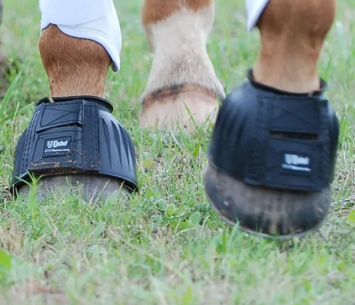 Vista 2 de CASHEL Botas de caballo con campana de goma, color negro, XL