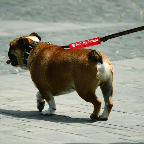 Vista 6 de Divertida funda para correa para perro, con texto en inglés "Pet Me Please Dog", para alerta, parche de identificación colgante, regalo de Pet Me