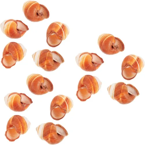 Vista 11 de Zerodeko Conchas de caracol para hornear Escargot, 5 unidades de conchas de cocina naturales gruesas