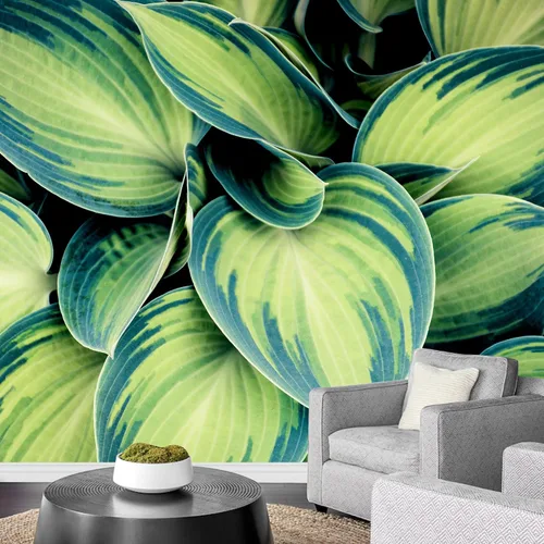 Vista 42 de wall26 serie Wall Mural Papel de empapelar autoadhesivo, grande., WMR-WP-X-D986-66x24x4