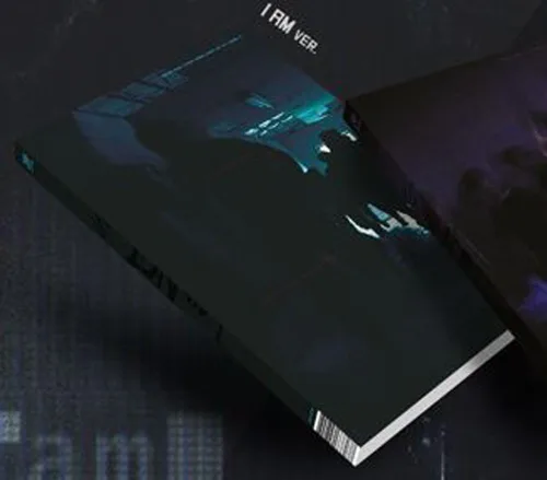 Vista 2 de 1st Mini álbum STRAY KIDS KPOP I am NOT I am ver. CD de música + libro de fotos + 3 tarjetas de fotos + regalo (juego de 4 tarjetas de fotos)
