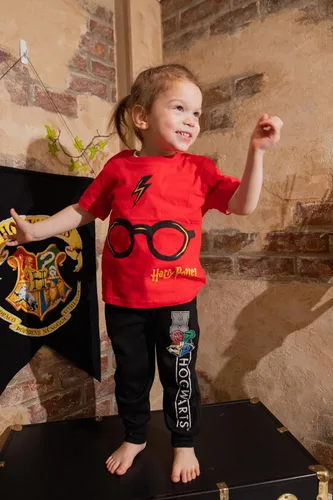 Vista 4 de Harry Potter Gryffindor Slytherin Hufflepuff Ravenclaw - Paquete de 2 pantalones deportivos de forro polar para niños pequeños a grandes