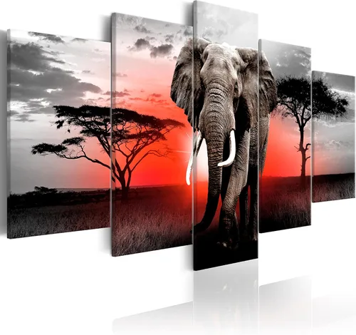 Vista 55 de artgeist Lienzo acústico para pared, diseño de África, 40 x 20 pulgadas, 5 piezas con impresión de sonido de espuma acústica, sala de arte de África